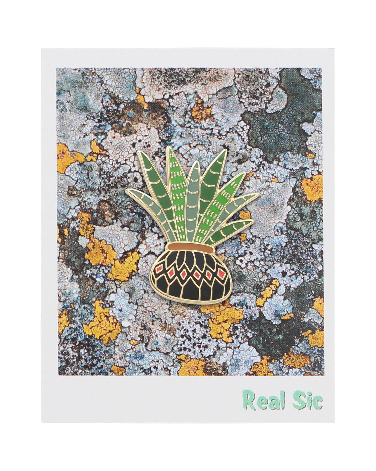 Aloe Vera Plants Enamel Lapel Pins